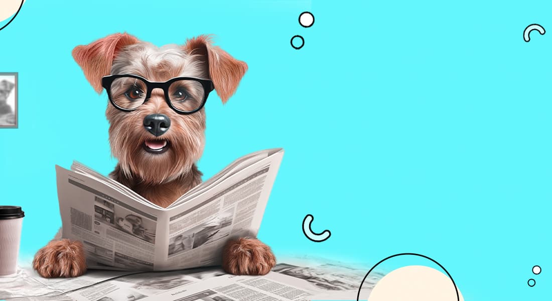 DuraPaw News and Press Releases For Monthly Dog Subscription Boxes