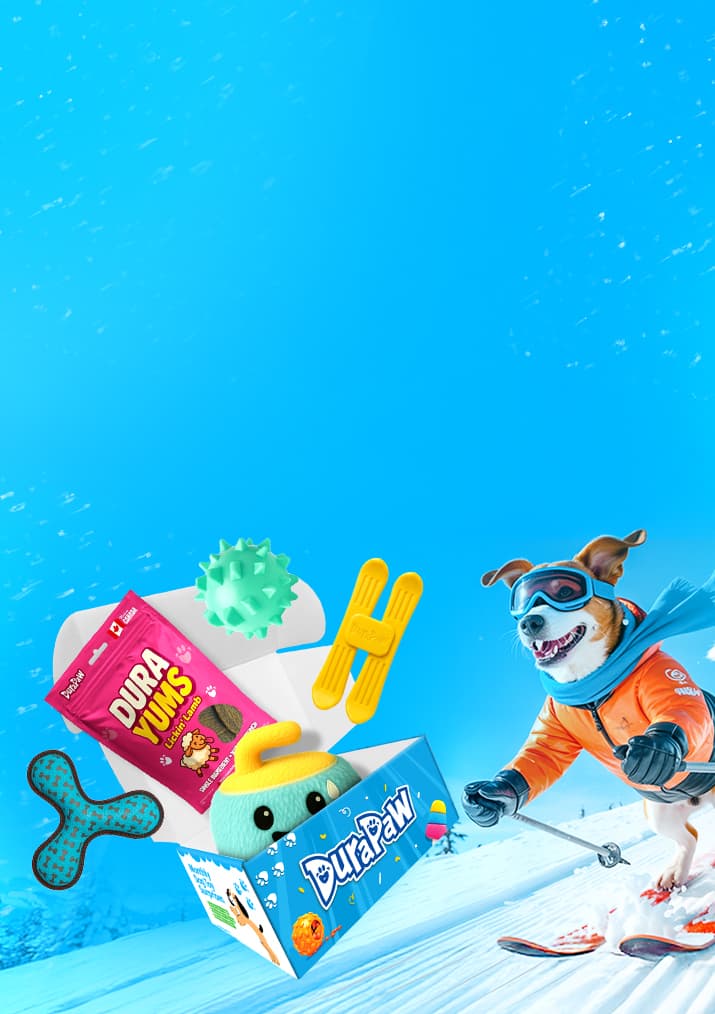 Dog toy box set with DuraPaw branding against a blue snowy background