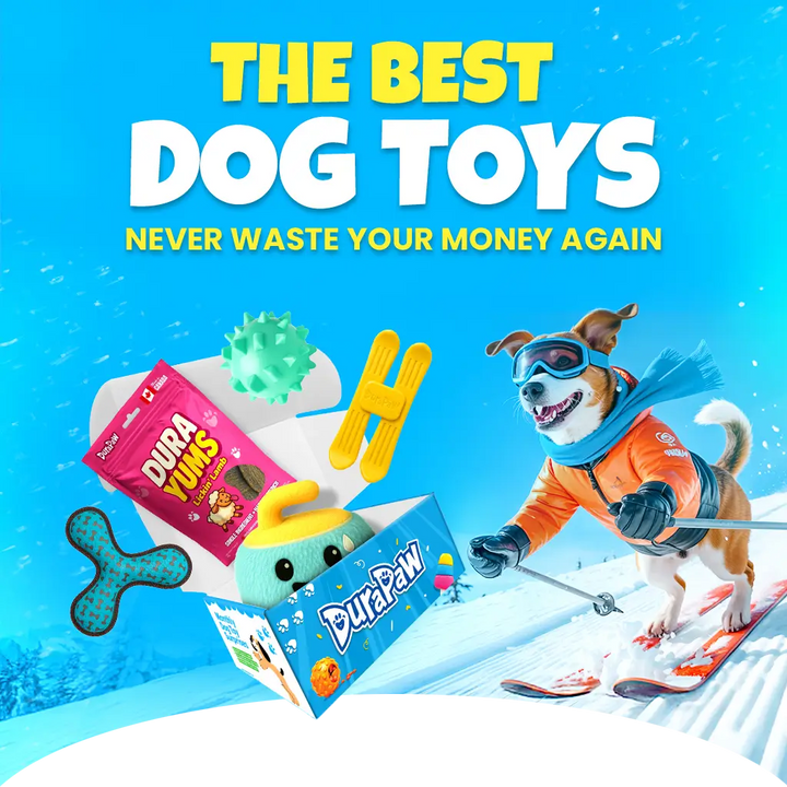Promotional image of DuraPaw dog toys with a dog in winter gear on a blue background.