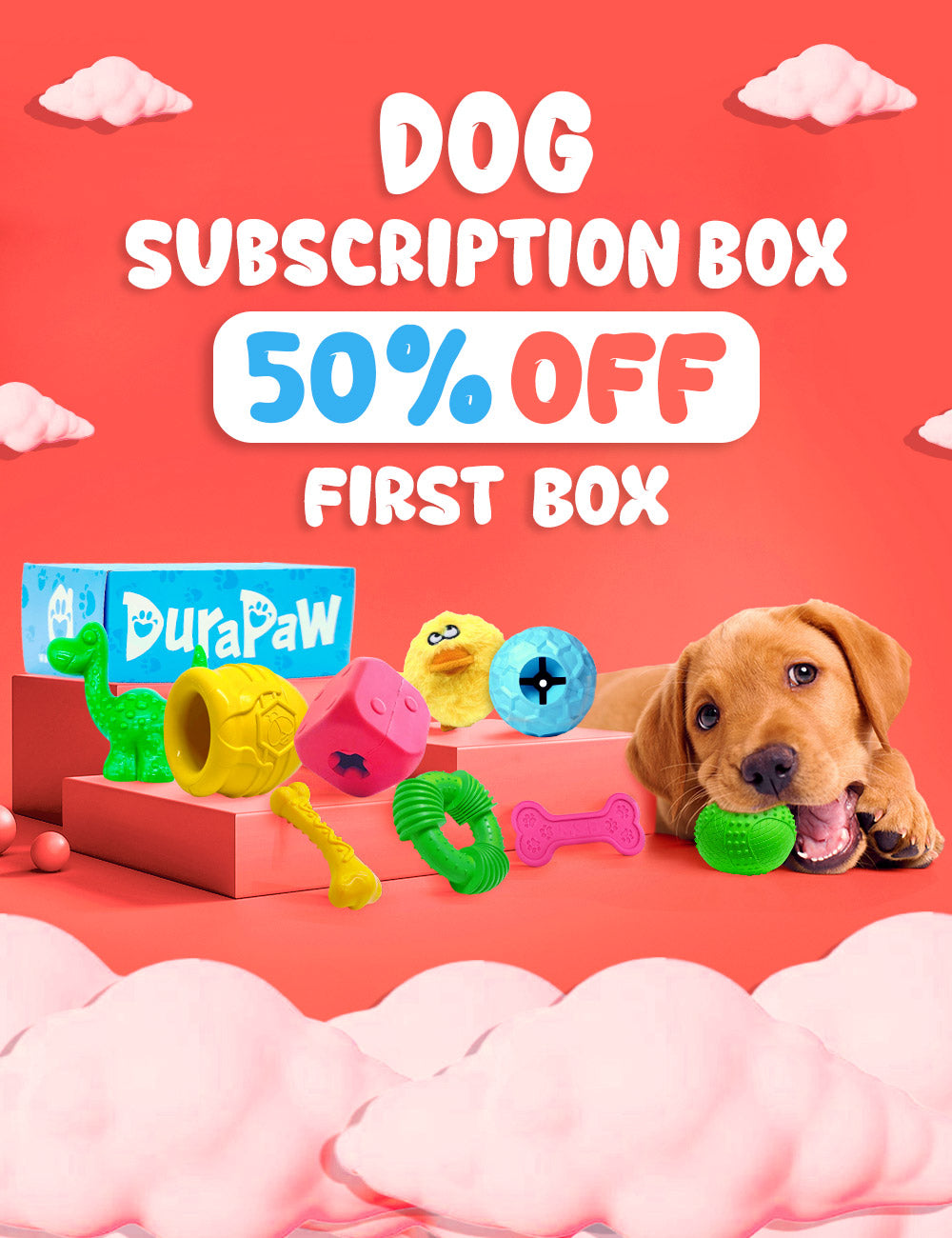 DuraPaw Dog Subscription Boxes Canada