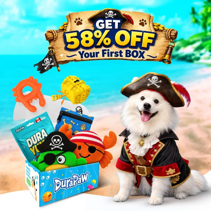 Dog in pirate costume with DuraPaw monthly drop themed dog subscription product box and promotional text on a beach background