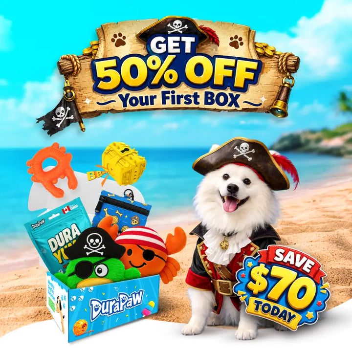 Dog in pirate costume with DuraPaw monthly dog subscription box and beach background, promotional text overlay.
