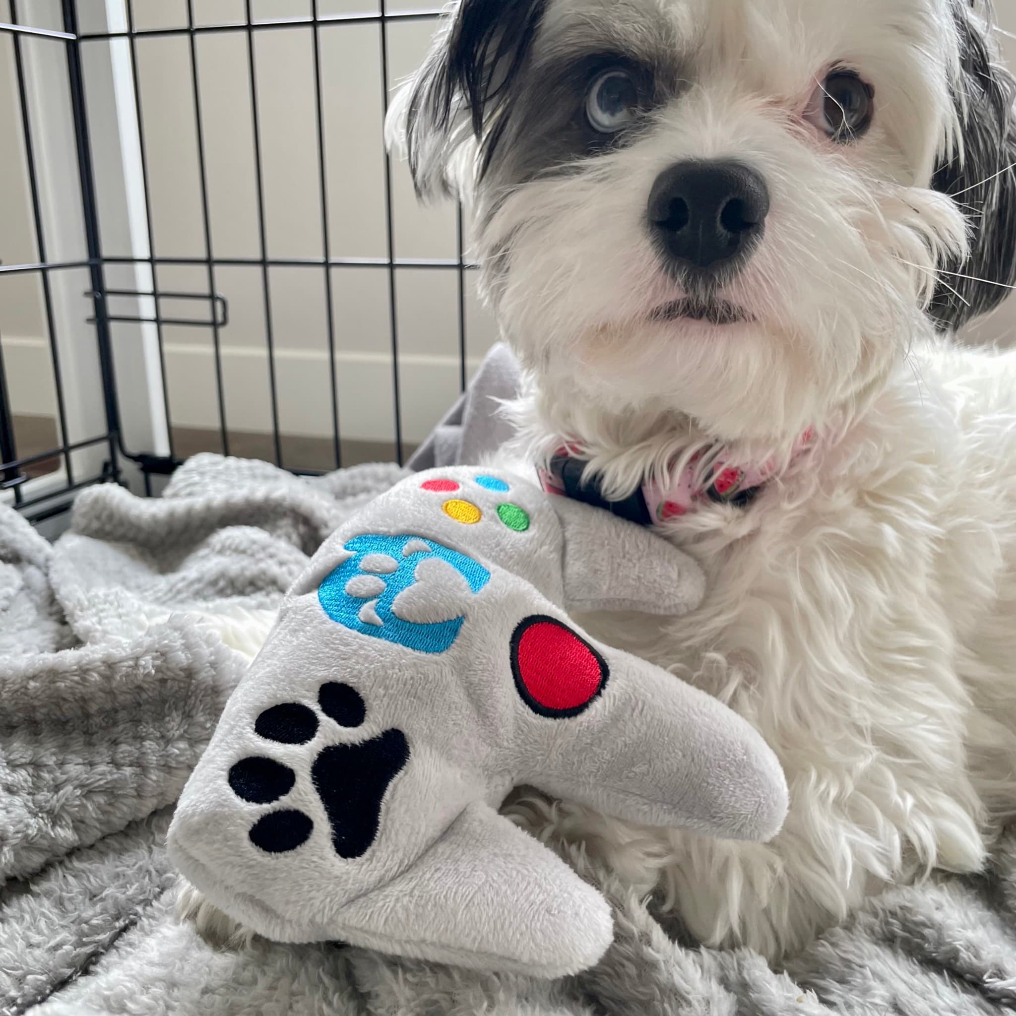 DuraPaw Plush Pet Dog Toy Treat Dispenser Canada