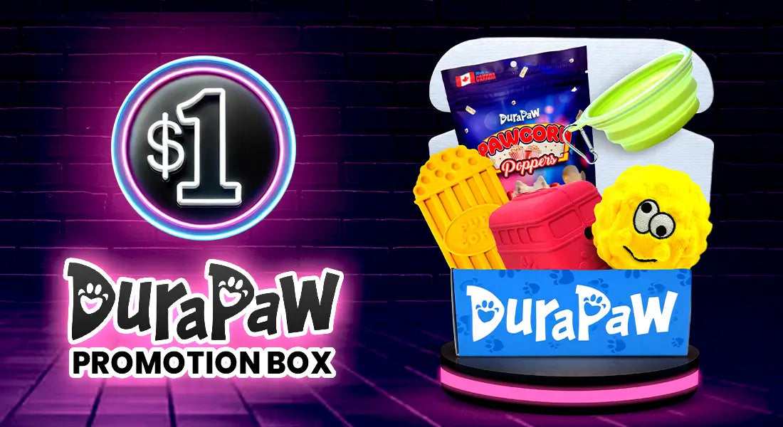 DuraPaw $1 Dollar Dog Toy Box Promotion Offer Black Friday