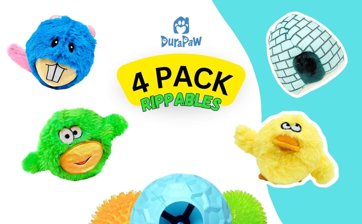 2 in 1 Rippables Dog Toy Bundle
