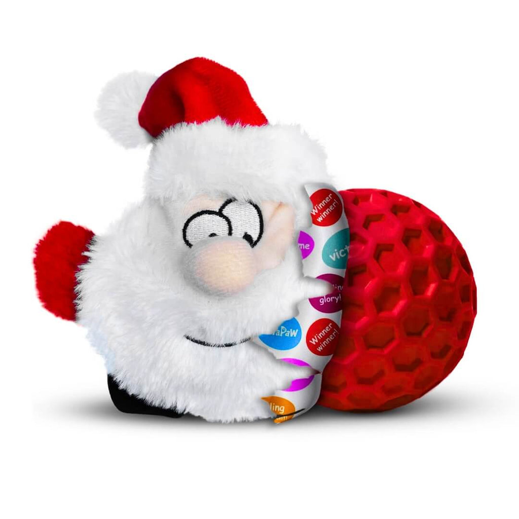 durapaw-santa-paws-christmas-2