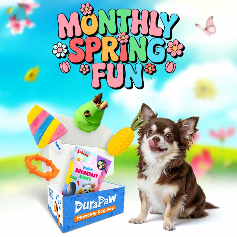 DuraPaw Spring Monthly Dog Toy Subscription Box Canada