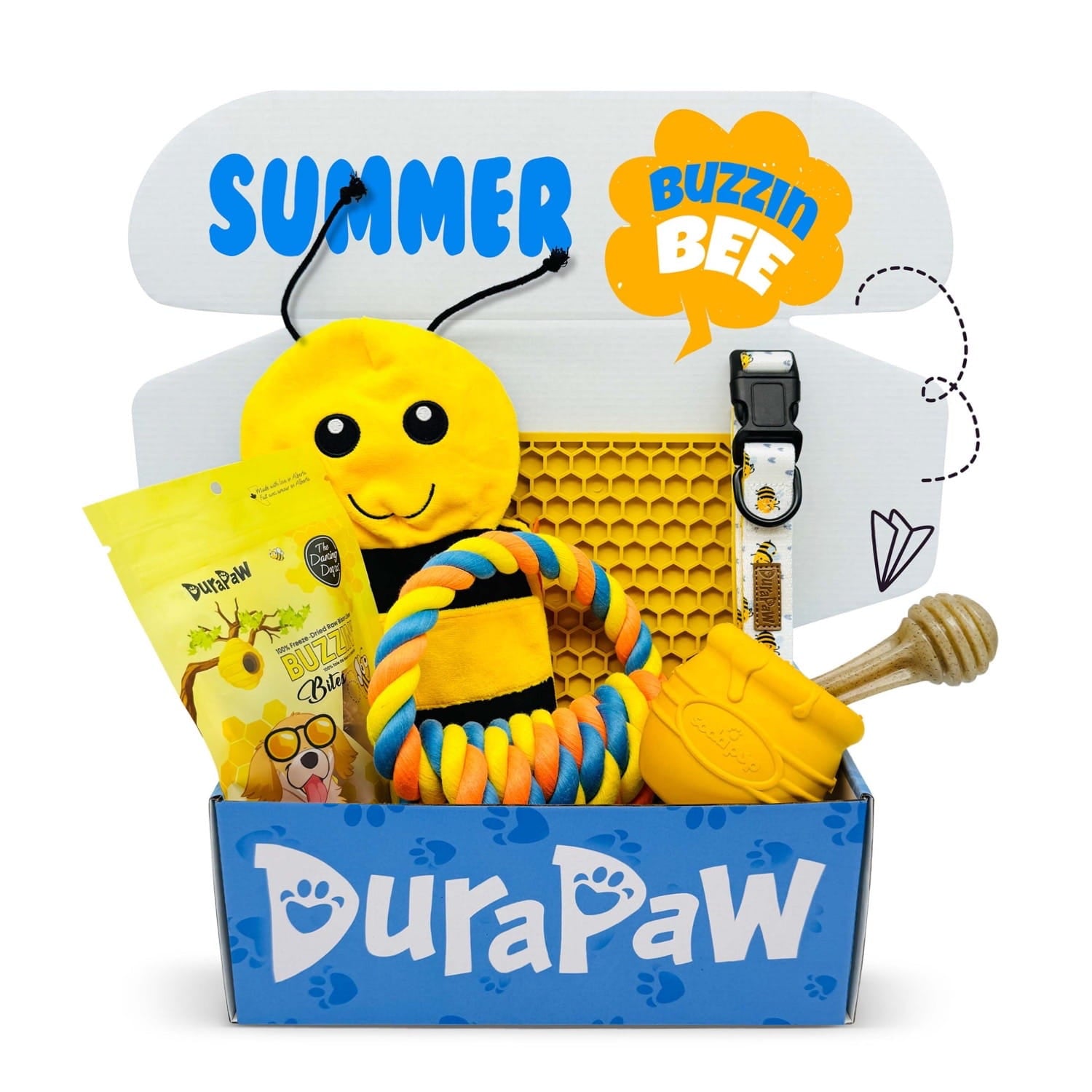 DuraPaw Summer Bee Themed Dog Toy Treat Surprise Box Bundle