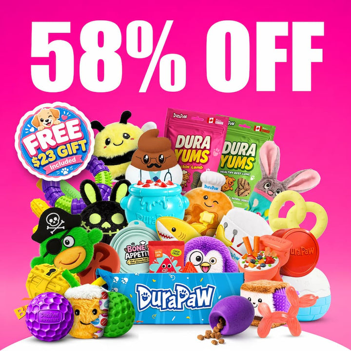 DuraPaw Super Durable subscription box overflowing with pet dog toys and treats with promotional text on a pink background
