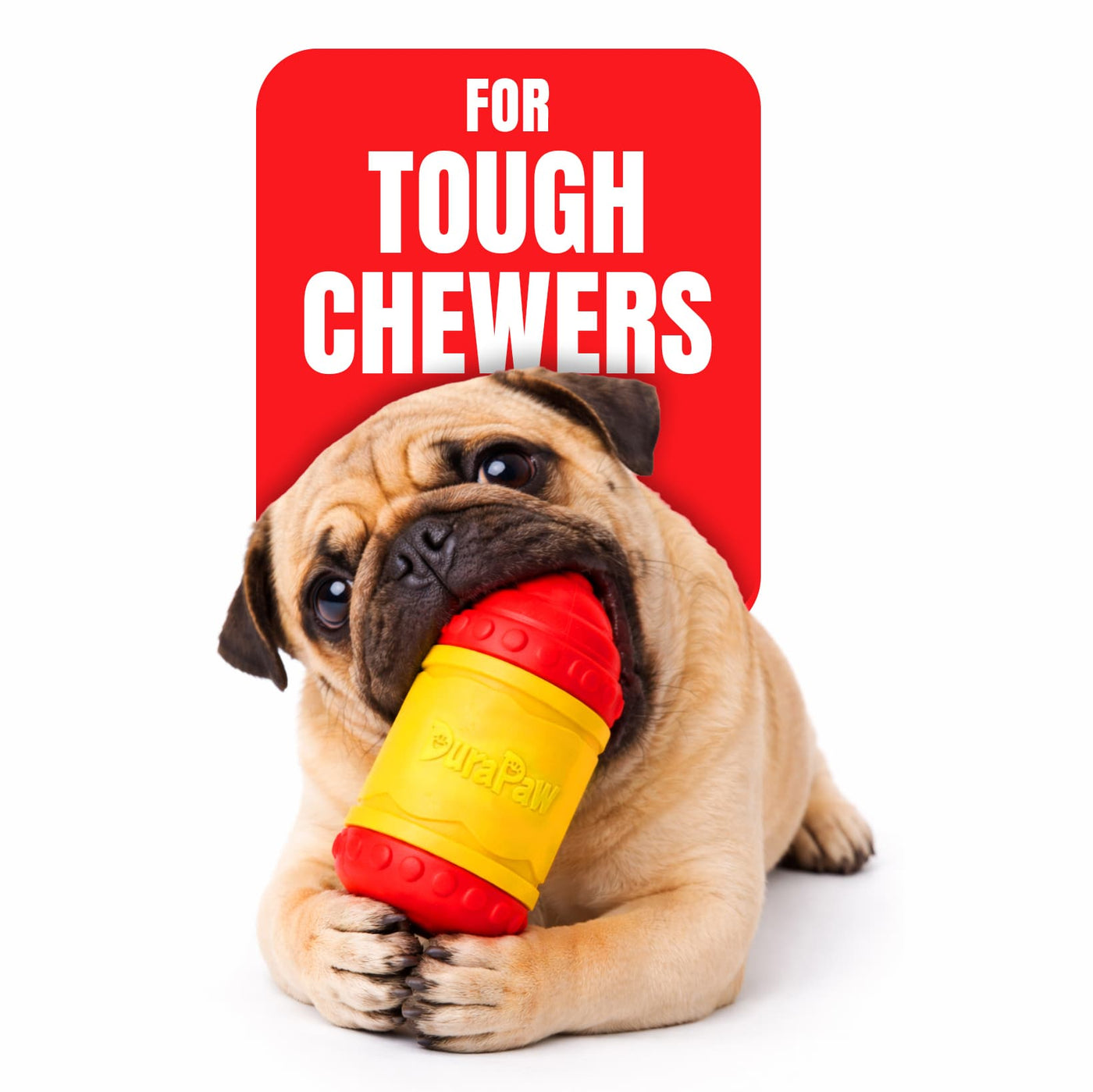 Dog chewing on a red and yellow DuraPaw Coloring Crayon shaped chew toy with a Tough Chewers sign in the background.