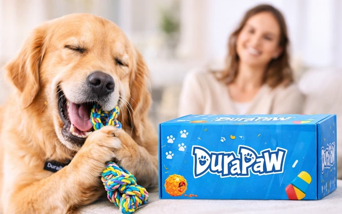 Dog playing with a DuraPaw toy next to a box of DuraPaw products with a blurred person in the background.