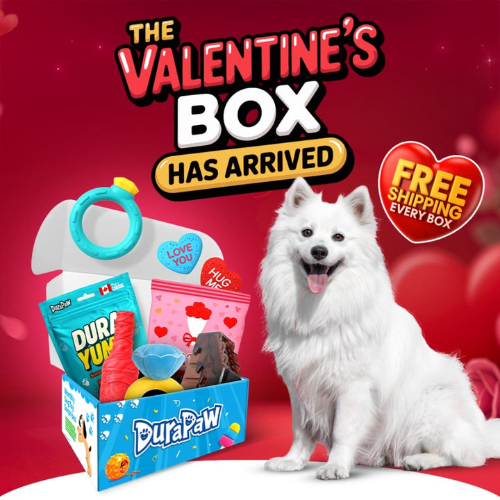 DuraPaw Valentine's Day box with a dog and promotional text on a red background