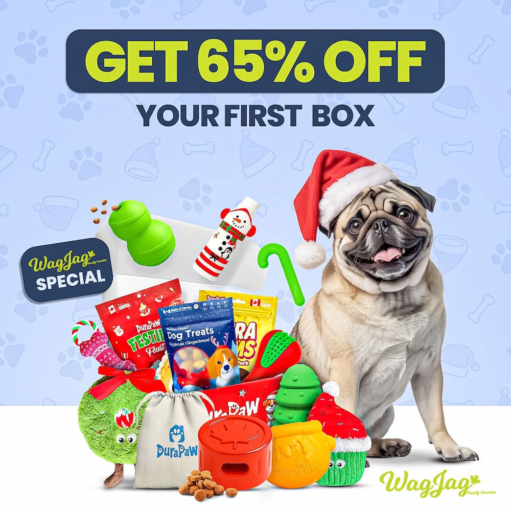 Dog with a Santa hat standing next to a DuraPaw holiday-themed gift box filled with toys and treats, with promotional text on a light blue background.