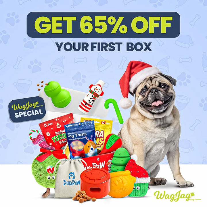 Dog with a Santa hat standing next to a DuraPaw holiday-themed gift box filled with toys and treats, with promotional text on a light blue background.