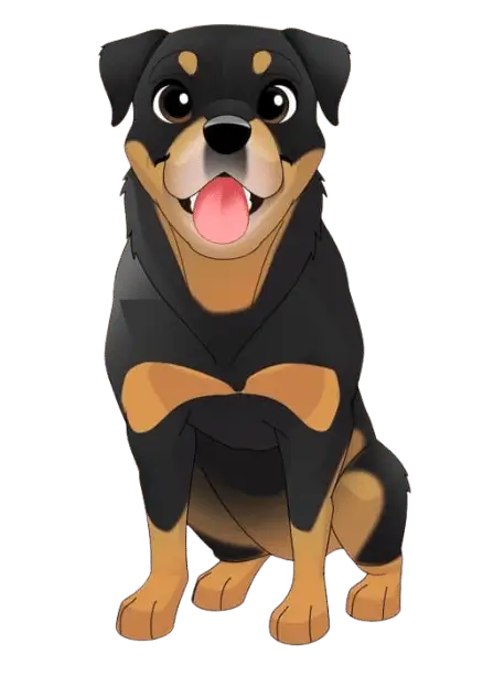 Large Dog Subscription Box