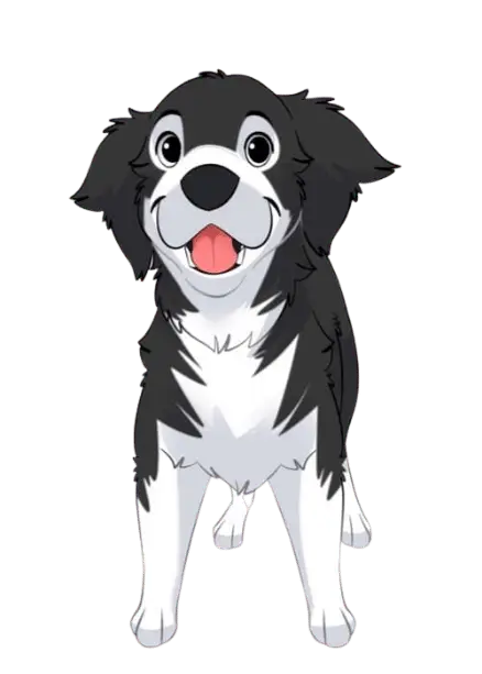 Medium Dog Subscription Box