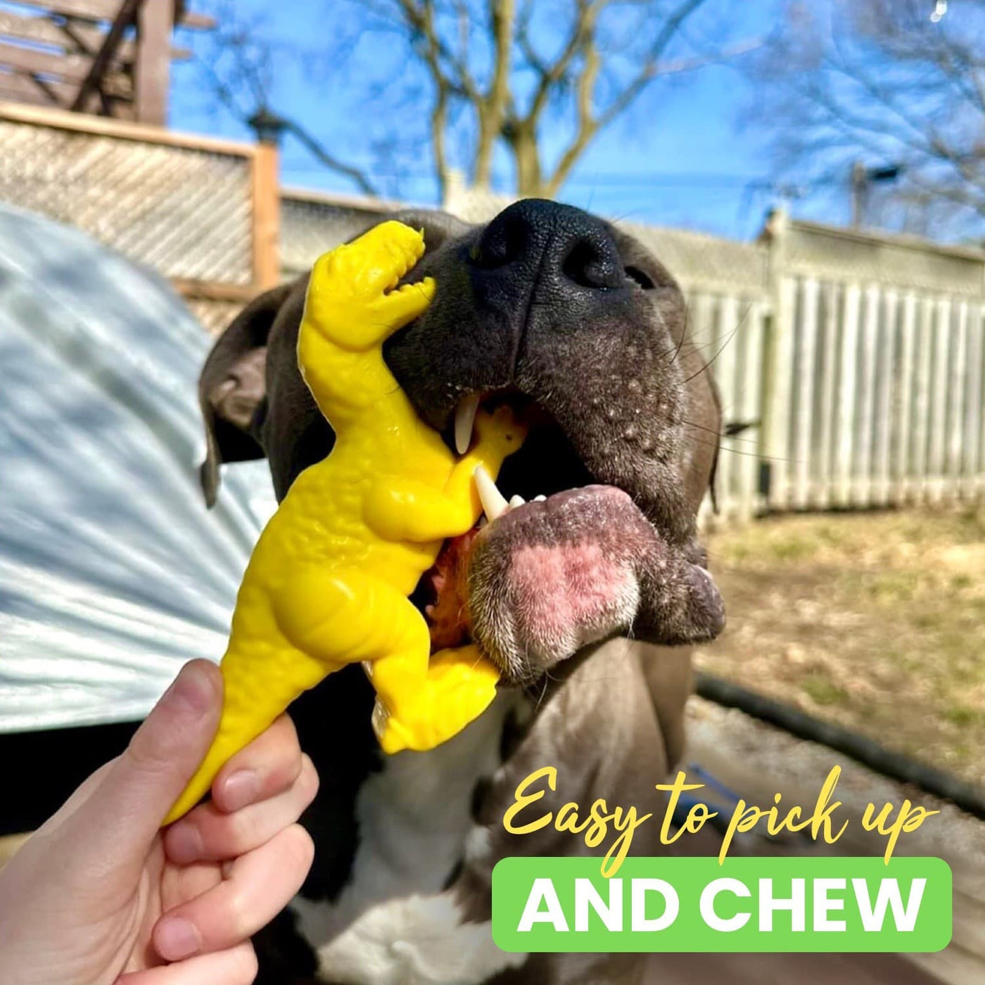 DuraPaw Multi Dog Subscription Box Tough Power Chewers