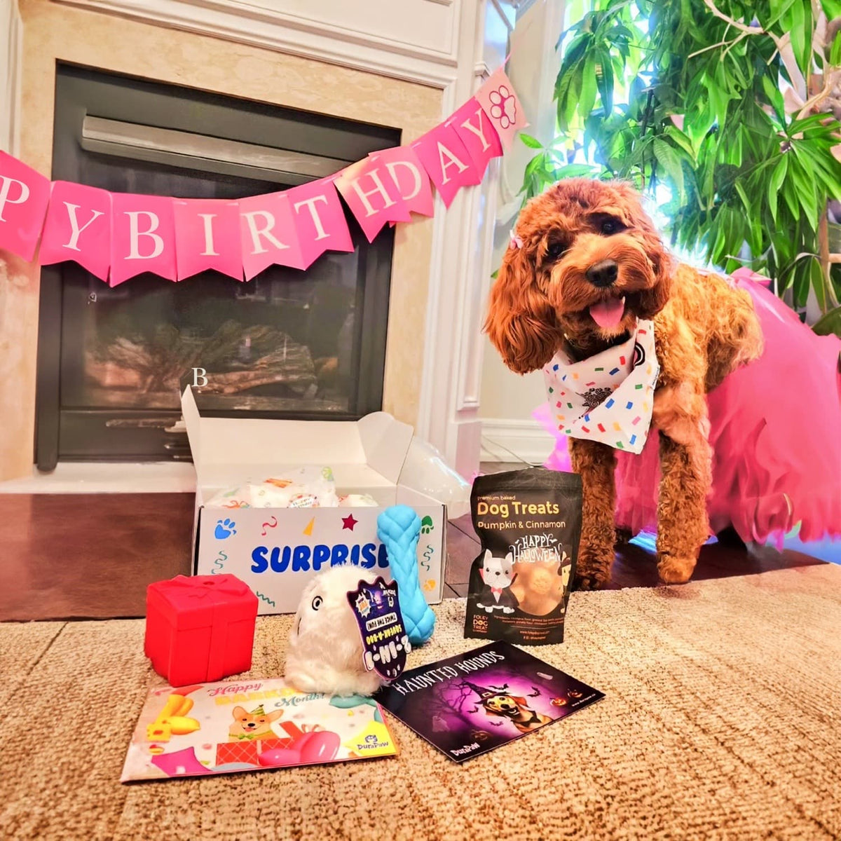 Puppy Dog 1st Birthday Toy Box Gift Idea