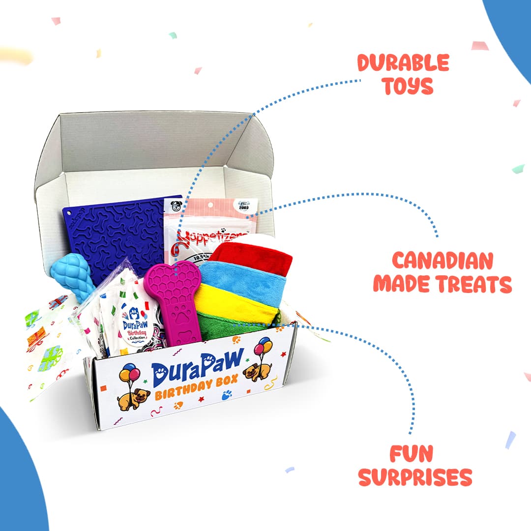 DuraPaw Puppy Dog Gift Box Idea For Birthday