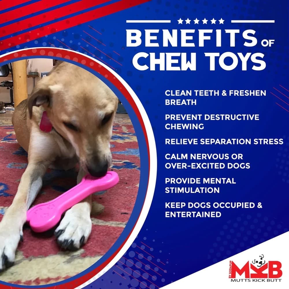 Sodapup Tough Nylon Dog Chew Toy Benefits Clean Teeth