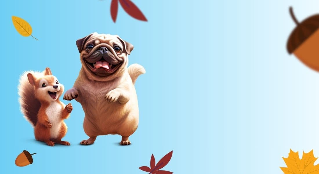 Squirrel Hunt Monthly Dog Subscription Box Theme