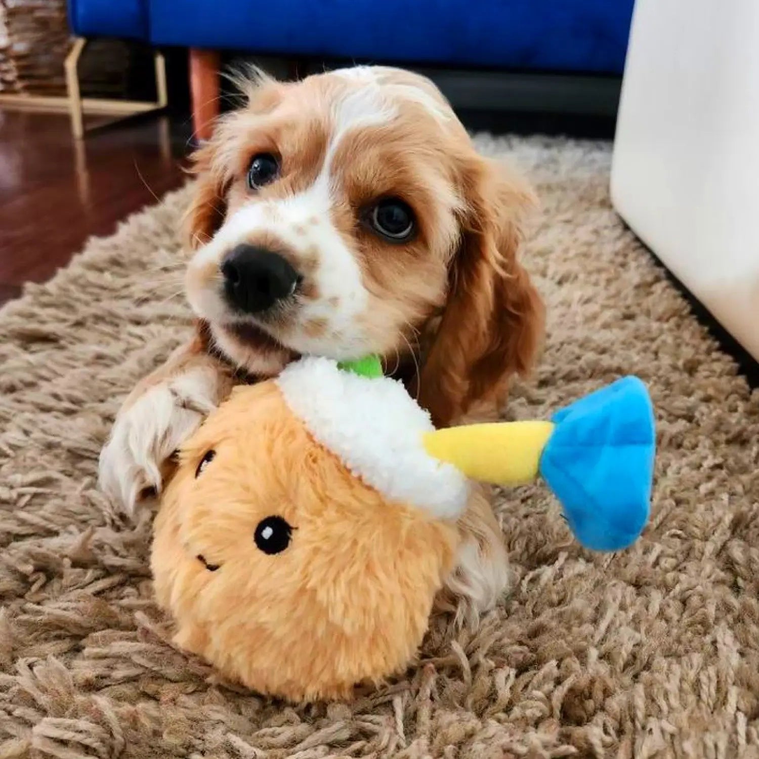 Super Chewer 2 in 1 Tear Apart Coconut Dog Toy