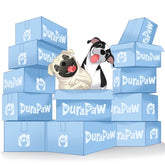 Plush Dog Toys Dog Subscription Box Canada