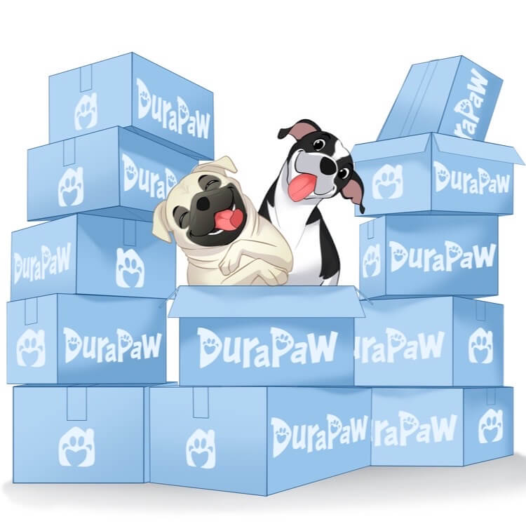 Plush Dog Toys Dog Subscription Box Canada