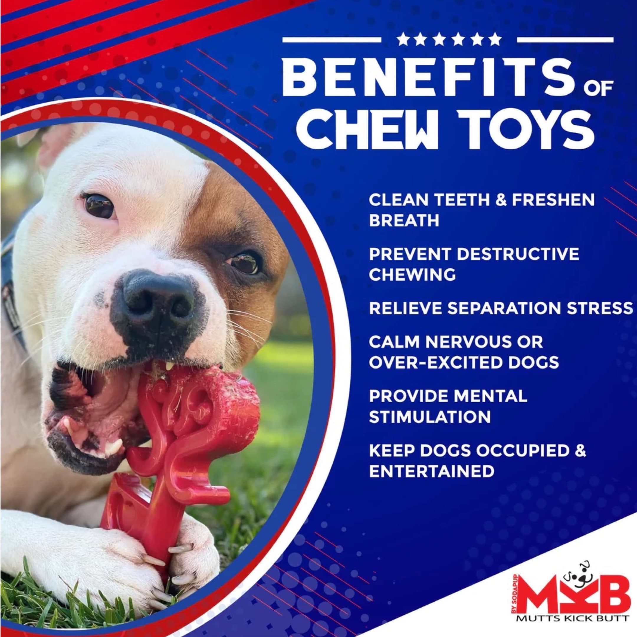 Benefits of a Nylon Dog Chew Toy