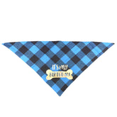 Male Dog First Birthday Gift Idea