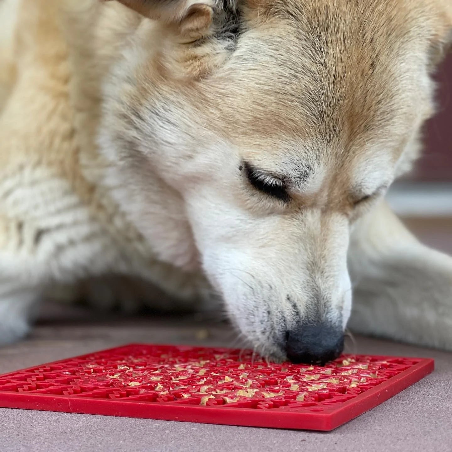 Dog Lick Mat Slow Feeder Repeating Red Tree Design