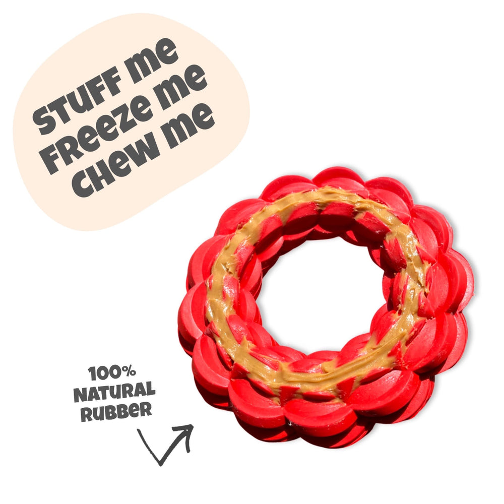 DuraPaw Box Best Monthly Dog Subscription Box in Canada