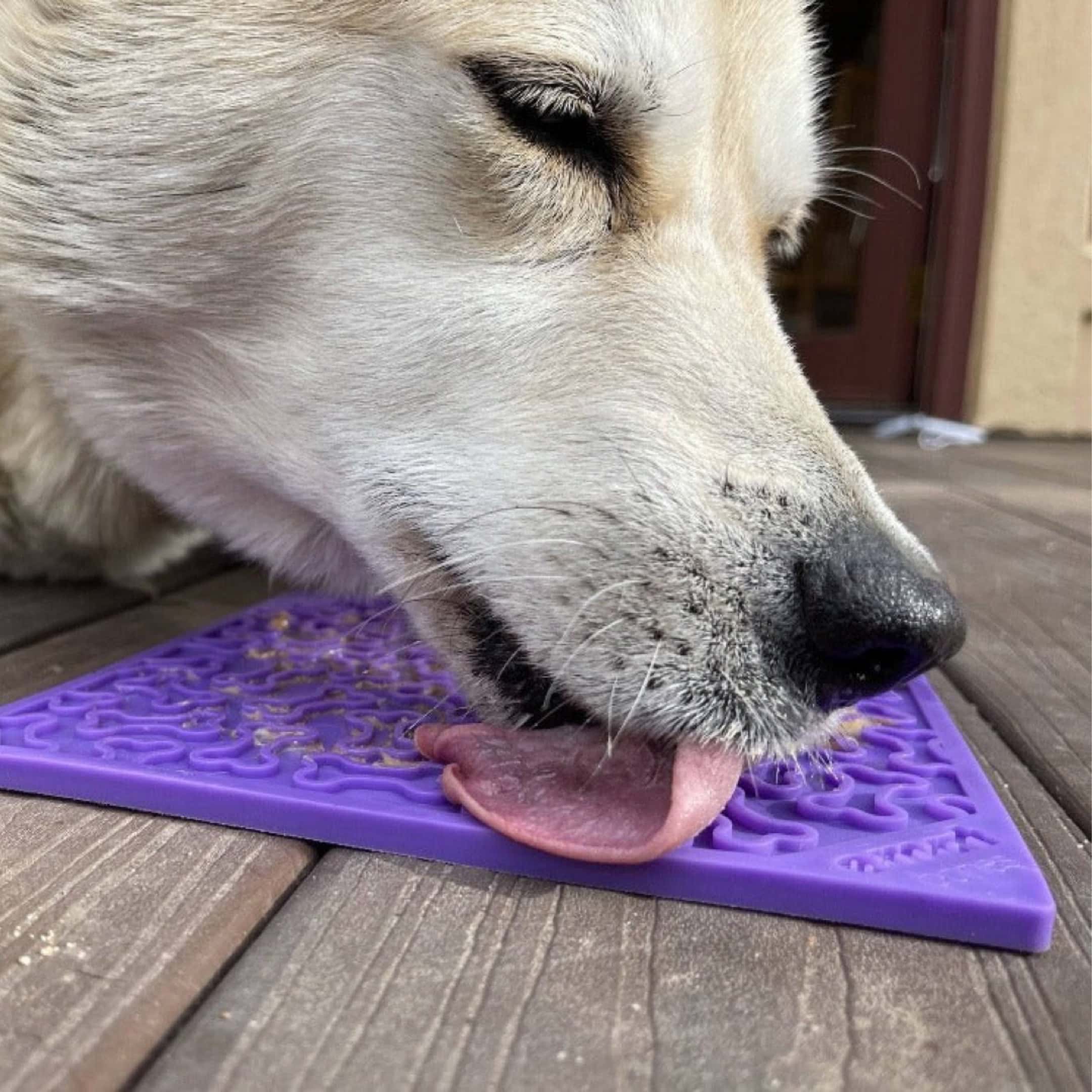 Dog Lick Mat Slow Feeder Healthy Dog Digestion
