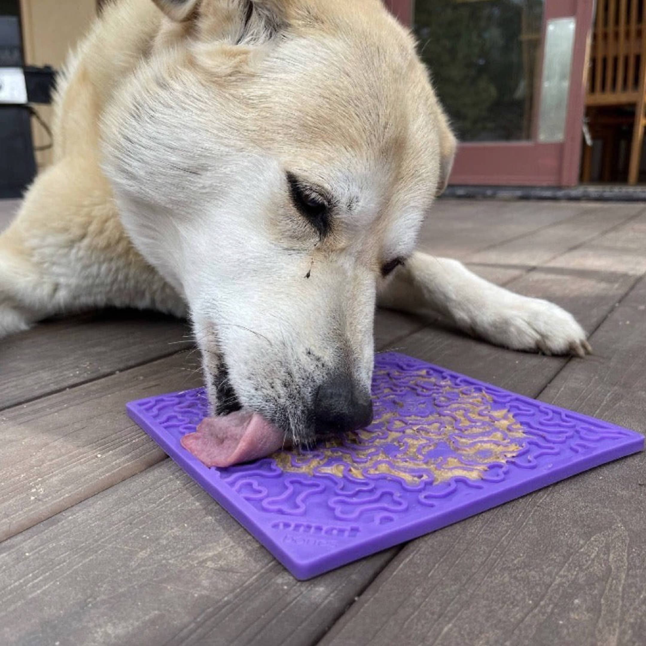 Dog Licking New Lick Mat