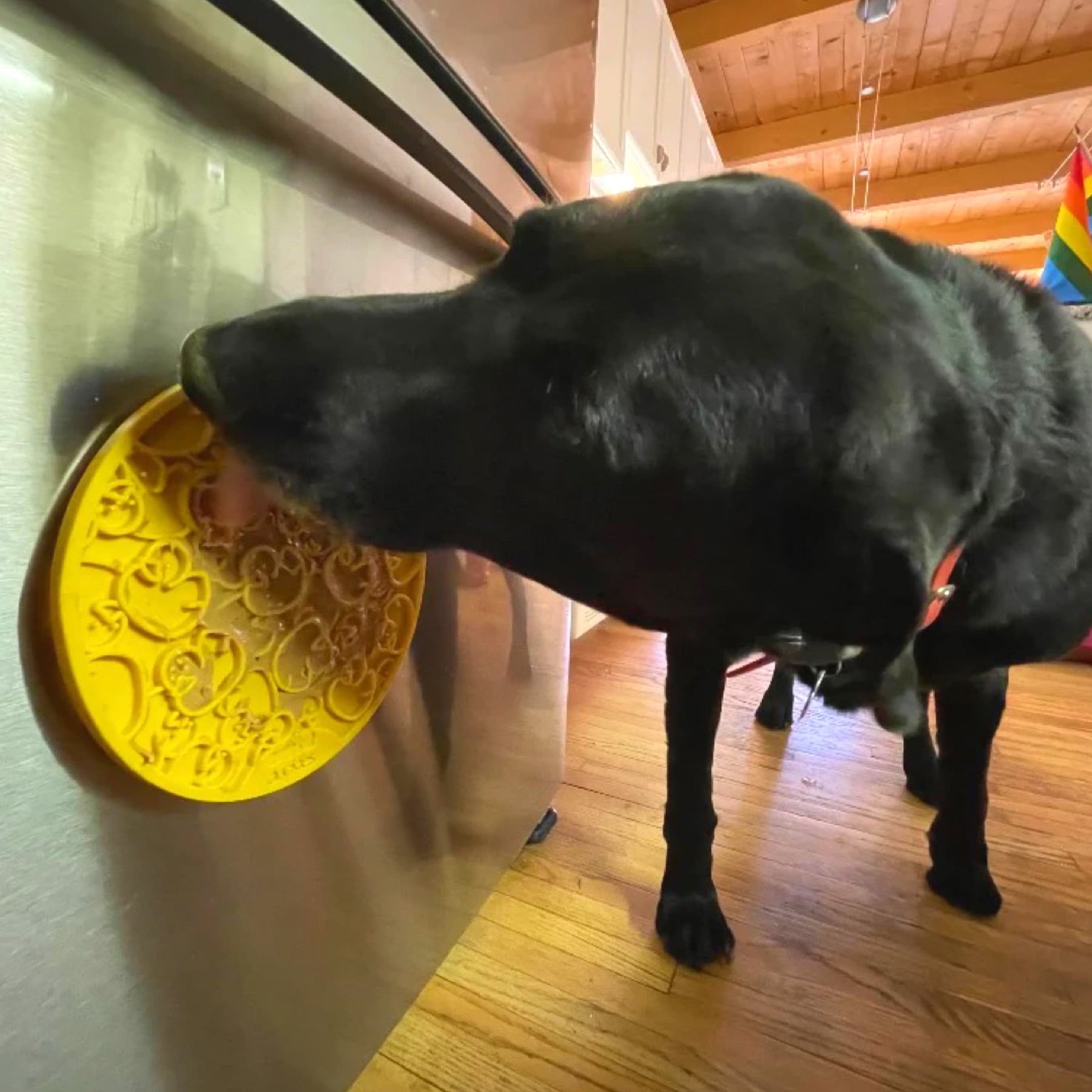Dog Lick Mat Suction Cup