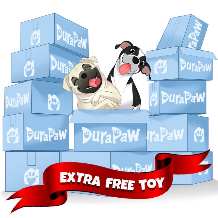 DuraPaw Best Dog Box12 Month Subscription and Free Dog Toy Canada