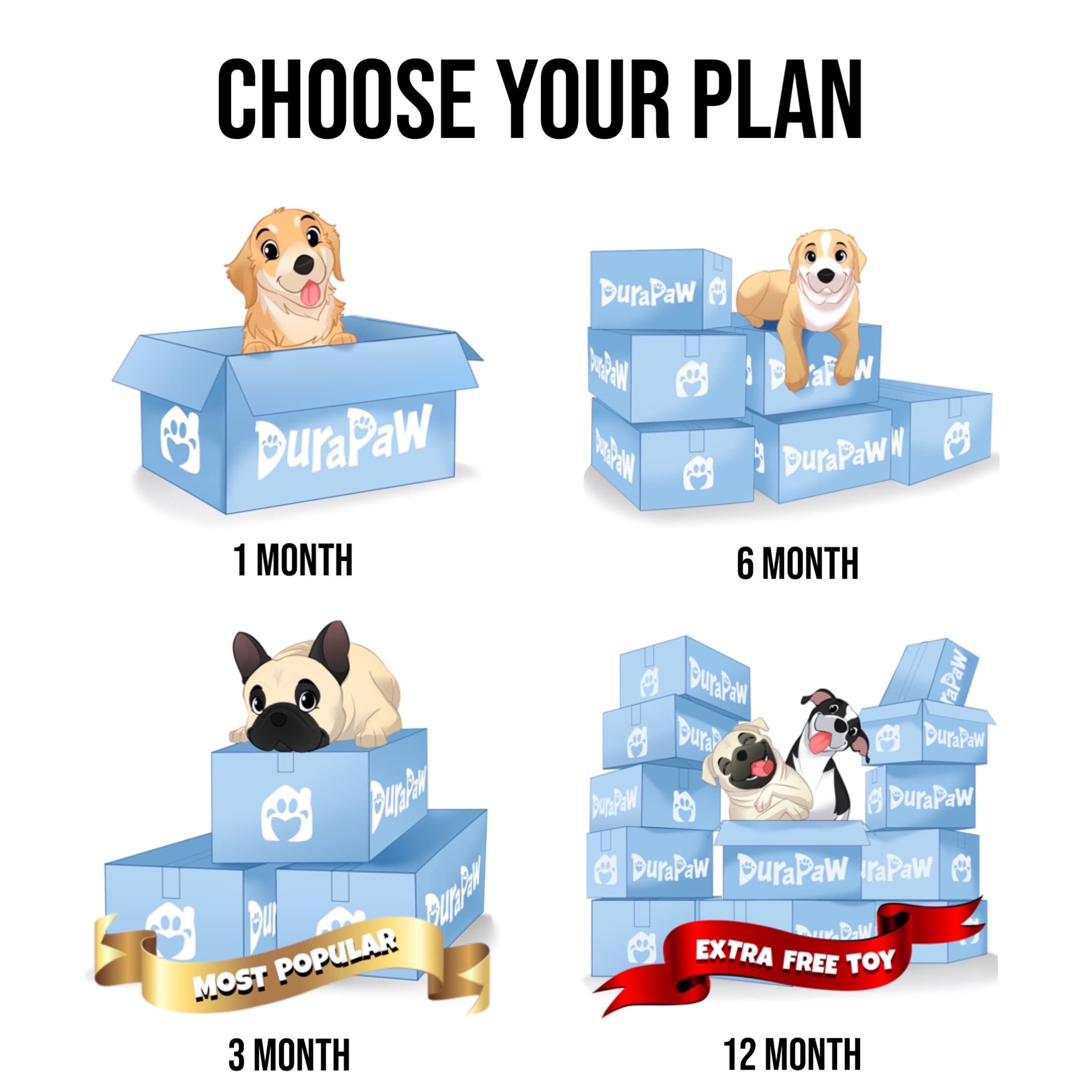 DuraPaw Canadian Dog Subscription Box Delivered Monthly