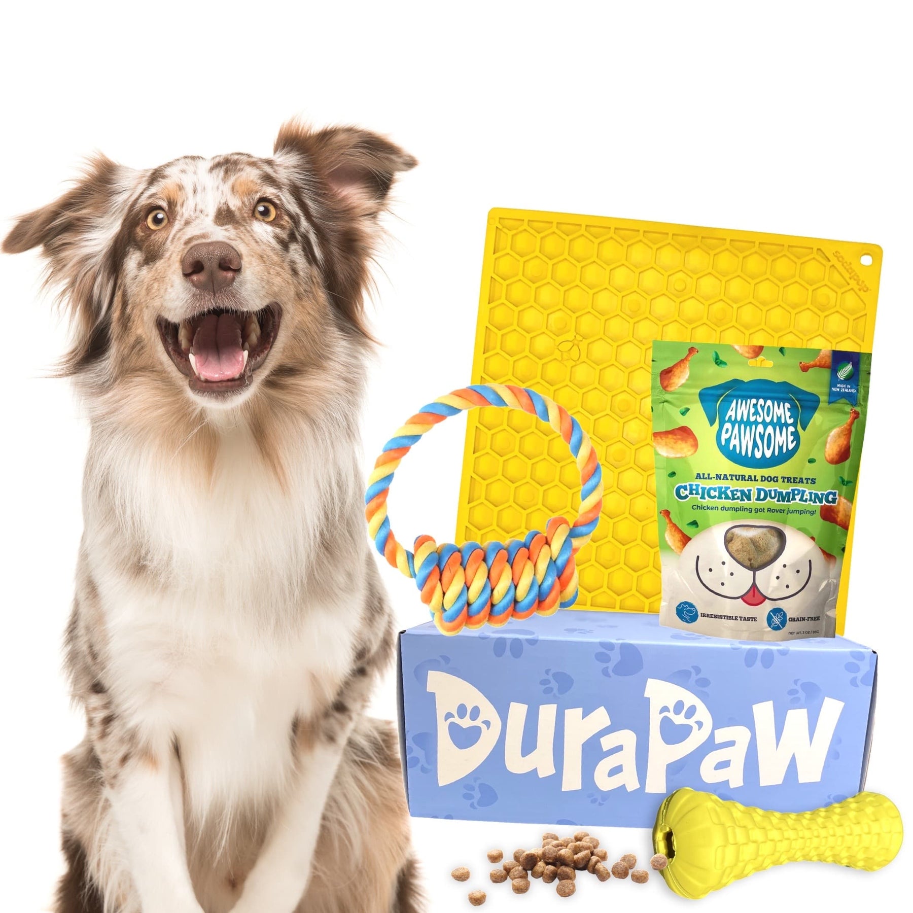 Dog Gift Box Best Gift Idea For Your Dog