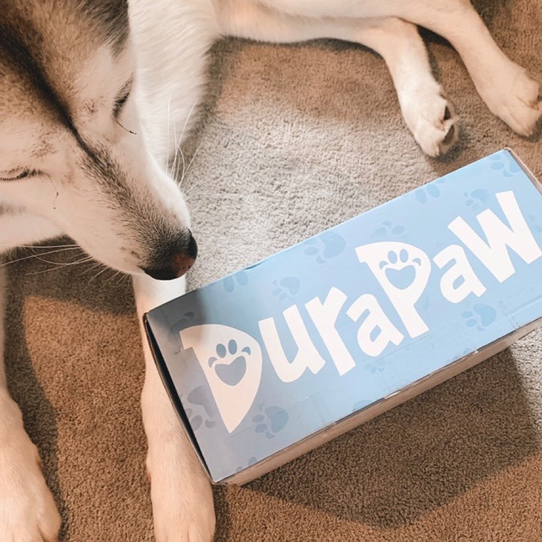 DuraPaw Dog Box Loaded with Dog Toys