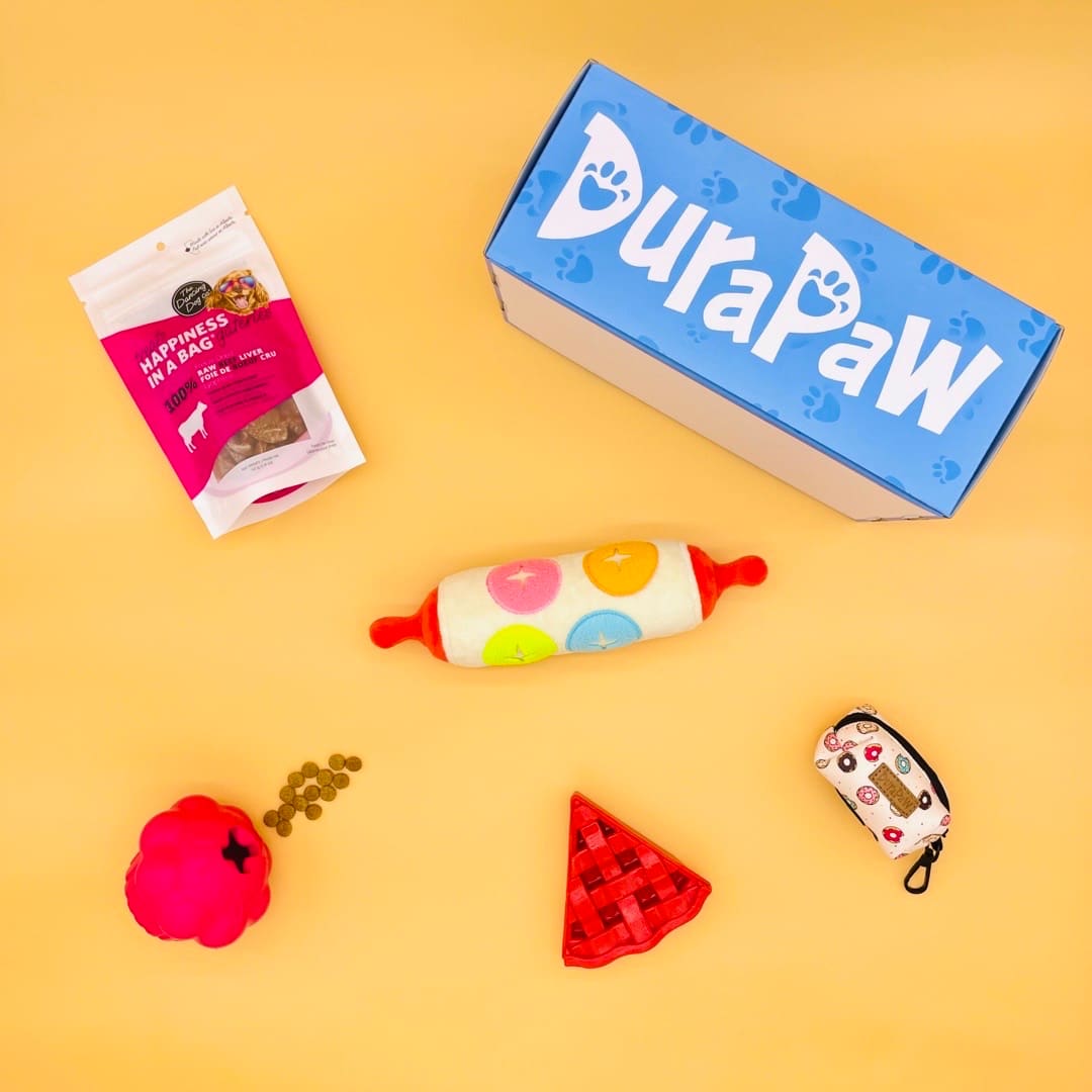 Monthly Dog Subscription Box Canada