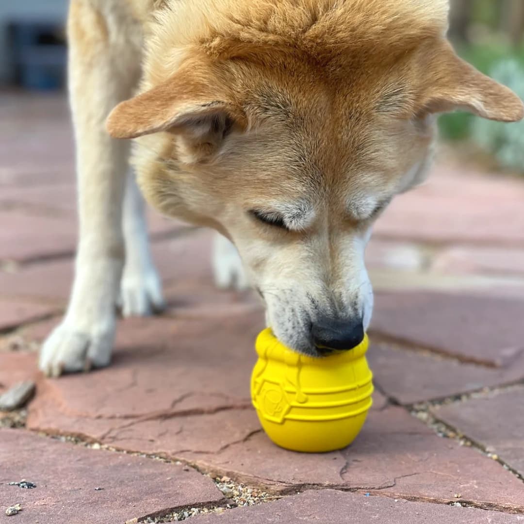 Dog Enrichment Toy Slow Feeder Recipes